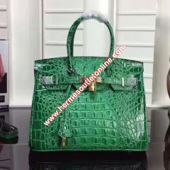 Hermes Birkin Bag Crocodile Leather Gold Hardware In Green