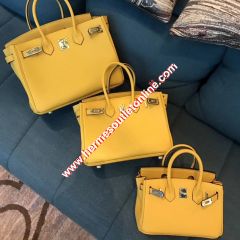 Hermes Birkin Bag Togo Leather Gold Hardware In Yellow