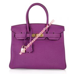 Hermes Birkin Bag Togo Leather Gold Hardware In Purple